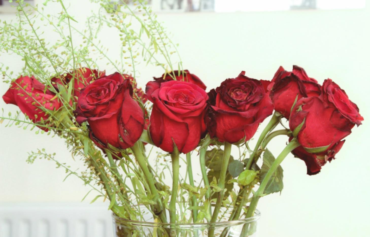 Studio workspace showing hands carefully arranging fresh flowers