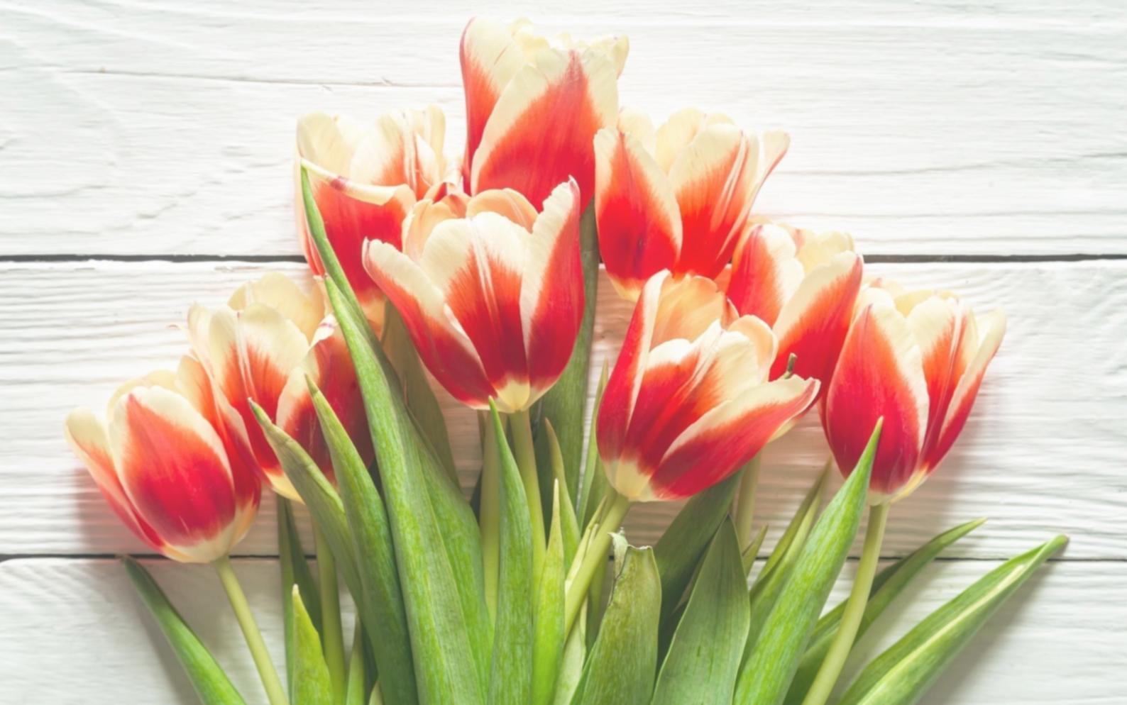 Detailed view of custom floral arrangement process